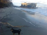 Jastarnia - Bałtyk zabrał plażę, sięgnął też po drzewa i bunkier