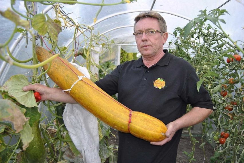 Piotr Holewa hoduje największe warzywa w Polsce