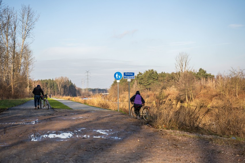 Urwana rowerostrada znad Zalewu Zegrzyńskiego. Brakuje 450 metrów. Zamiast trasy jest błoto i zarośla