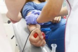                 Akcja poboru krwi w Bolesławcu