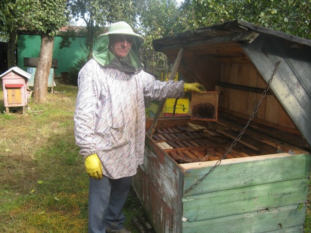 Od kilkunastu lat Stanisław Latawiec z Kowalina pasjonuje się pszczelarstwem. Ten rok ocenia jako korzystny dla pszczelarstwa