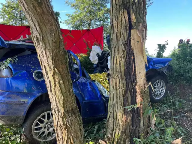 Samochód osobowy uderzył w drzewo w Dziadowej Kłodzie. Dwie osoby zginęły