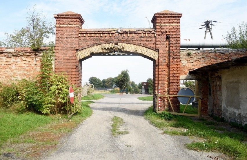  MIĘDZYRZECZ. Magistrat planuje wybudować tu urząd miasta i muzeum. Na razie stary PGR na Winnicy dogorywa. Dookoła morze ruin...