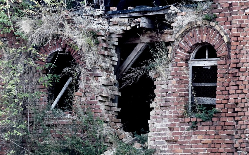  MIĘDZYRZECZ. Magistrat planuje wybudować tu urząd miasta i muzeum. Na razie stary PGR na Winnicy dogorywa. Dookoła morze ruin...