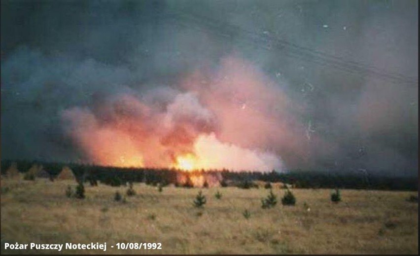 Pożar Puszczy Noteckiej, sierpień 1992 rok