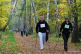 Nordic Walking Gdańsk 2015 [zapisy, program]. Do wygrania tablety