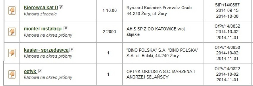 Oferty pracy Żory: Sprawdź, jakie są. Ile możesz zarobić?