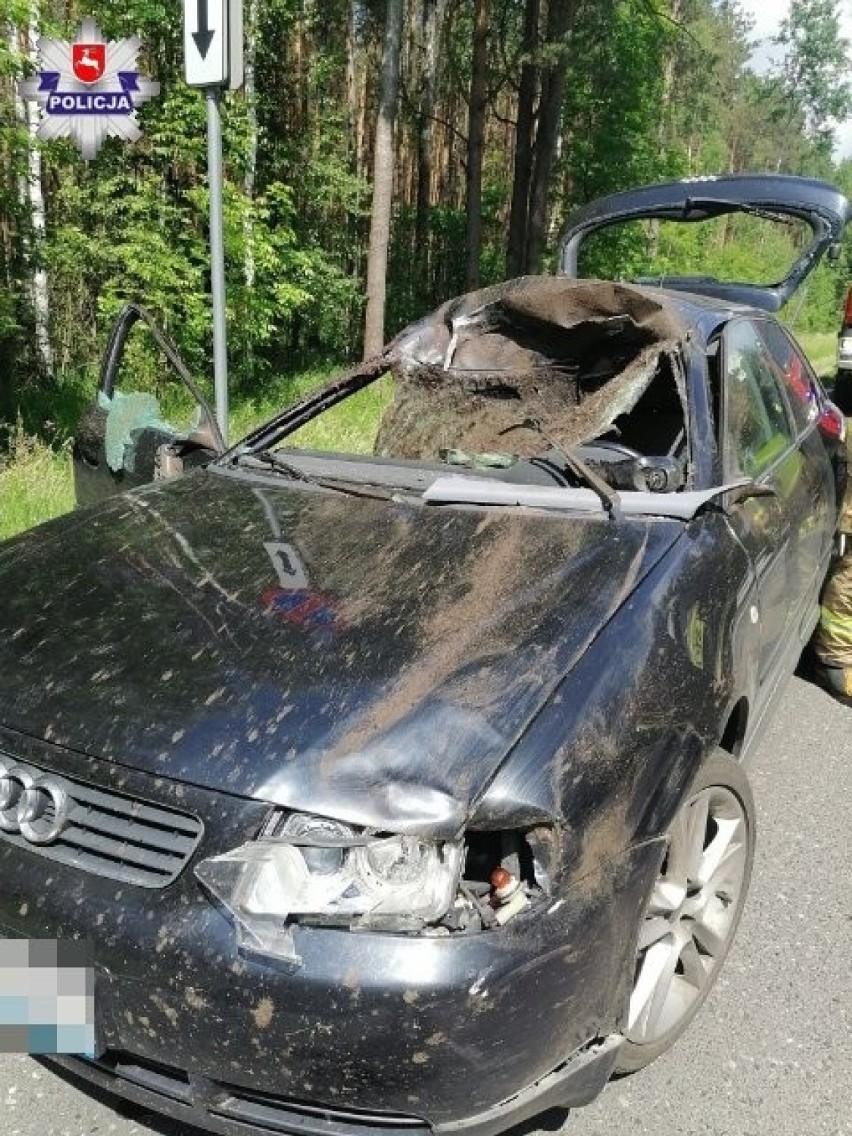Zderzenie samochodu osobowego z łosiem na drodze wojewódzkiej nr 812 w powiecie włodawskim. Dwie osoby trafiły do szpitala