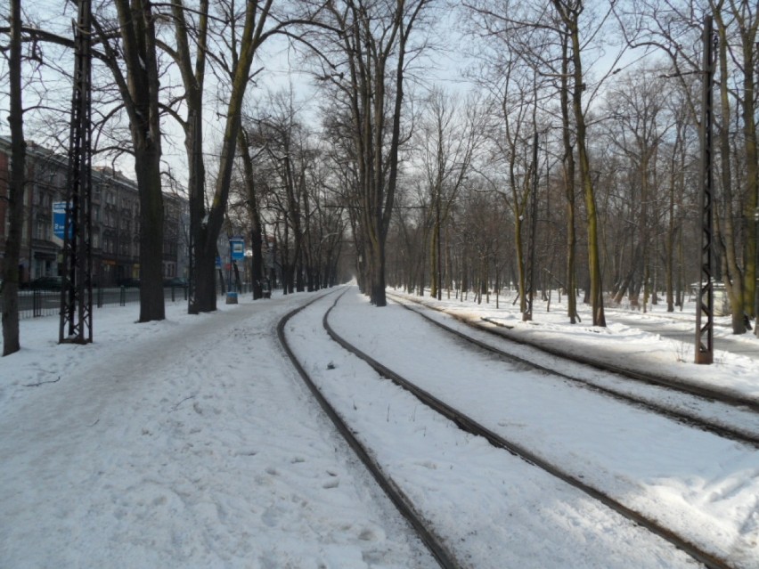 Park miejski w Bytomiu - zimowy spacer. Polecamy!