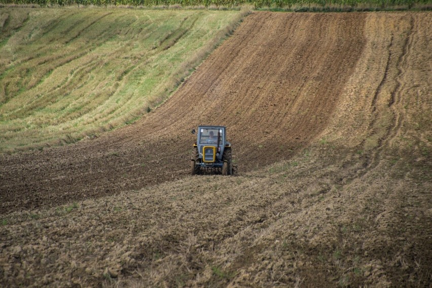 Wyszli z domu i poszli na długi spacer, czyli w 126 dni dookoła Polski