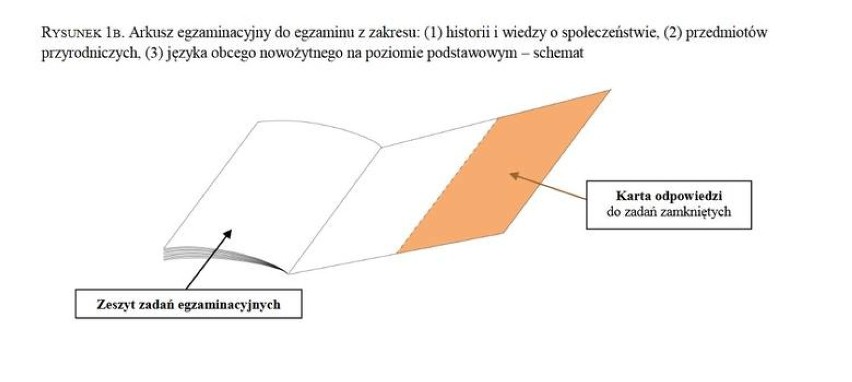 Wszystko, co musisz wiedzieć o egzaminie gimnazjalnym
