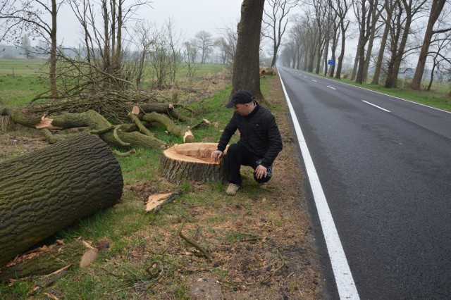 Robert Wójcik zatrzymał się ze znajomymi, żeby obejrzeć pnie wyciętych drzew. - Szkoda drzew, ale bezpieczeństwo jest jednak ważniejsze - mówi