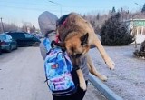 Ukrainiec ratował psa, niosąc go 15 km do Polski! Otrzymają pomoc we Wrocławiu [ZOBACZ]