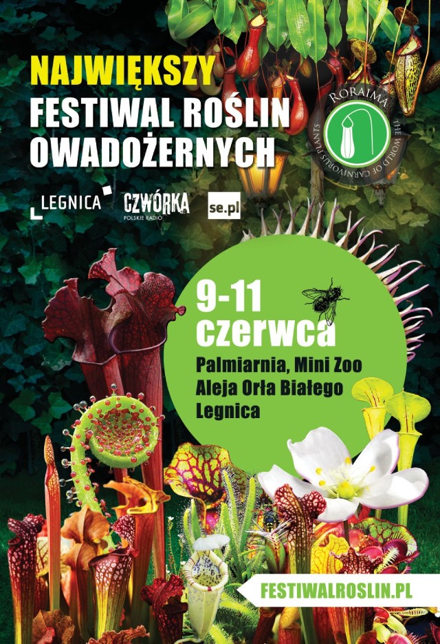 Palmiarnia w Legnicy. Festiwal Roślin Owadożernych