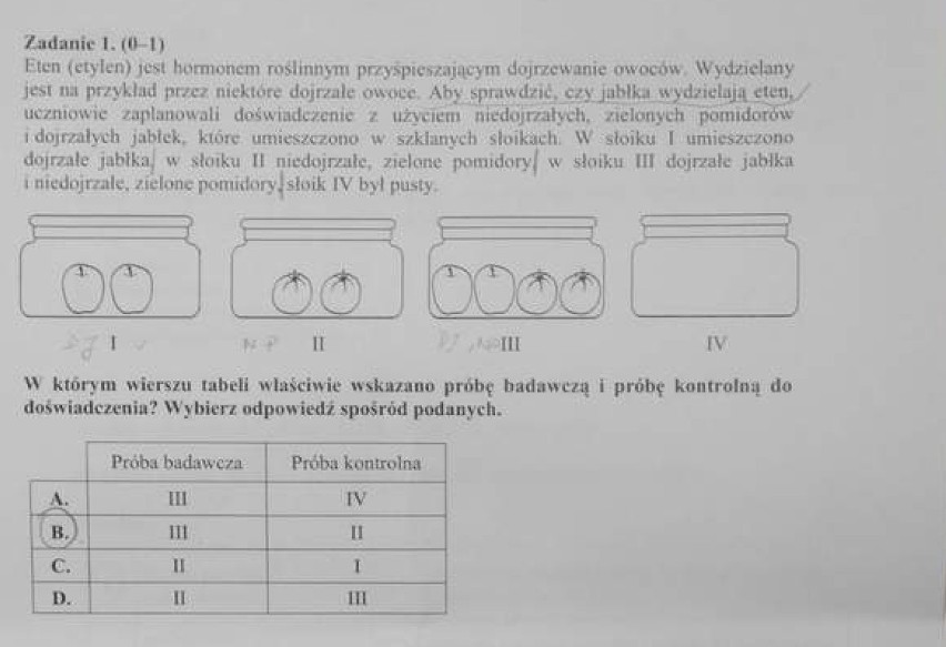 Egzamin gimnazjalny: matematyczno-przyrodniczy [ARKUSZE, ODPOWIEDZI]