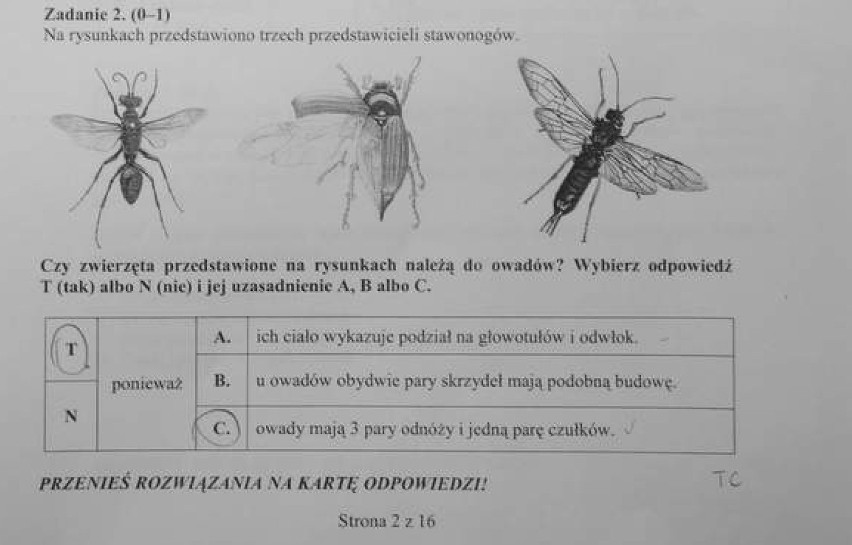 Egzamin gimnazjalny: matematyczno-przyrodniczy [ARKUSZE, ODPOWIEDZI]