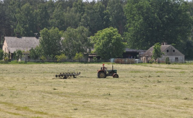 W województwie lubuskim mieszka 1 001 411 osób, z tego 351 076, czyli 35 proc. na wsiach. Sprawdziliśmy, które wsie mają największą liczbę ludności. 

Podajemy dane o liczbie ludności zgodne ze stanem na koniec roku 2018. Niestety brakuje kompletnych danych dotyczących 2019 r. Czytaj dalej >>>

Czytaj również:
  Tylko u nas! "Miasto duchów" w naszym regionie istnieje! Jakby wszyscy zniknęli z dnia na dzień

  Krzystkowice. Tajemnica fabryki amunicji z czasów wojny. Jaką mroczną historię kryje las 30 km od Zielonej Góry? To miejsce warto zobaczyć

Zobacz wideo: Wymarłe miasteczko westernowe w Kosinie pod Drezdenkiem
