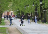 Poniedziałek 3 maja w Parku Tadeusza Kościuszki w Radomiu. Zobacz zdjęcia