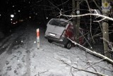 Wypadek w Szpęgawsku. Bus uderzył w drzewo na dk 22