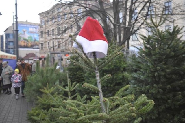 Dzięki akcji ZZM, choince można dać drugie życie