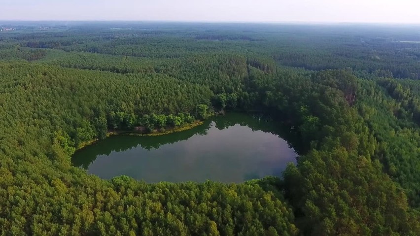 Jezioro Czarne koło Karolewa to cud natury. Ma kształt serca. Dziś o tym sercu mówi cała Polska!