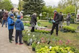 Piła: Park na Wyspie zmienił się w ogród pełen kwiatów i zwierząt. Nie brakowało też dobrego jedzenia