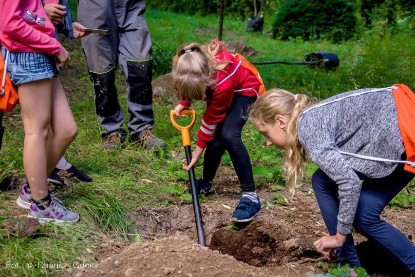 Wałbrzych: Dzieci posadziły drzewa w Książańskim Parku [ZDJĘCIA]