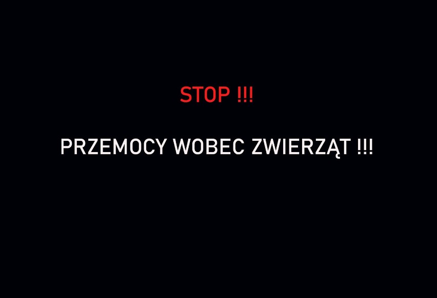 Policjanci z Nowego Dworu Gdańskiego i OTOZ Animals z...