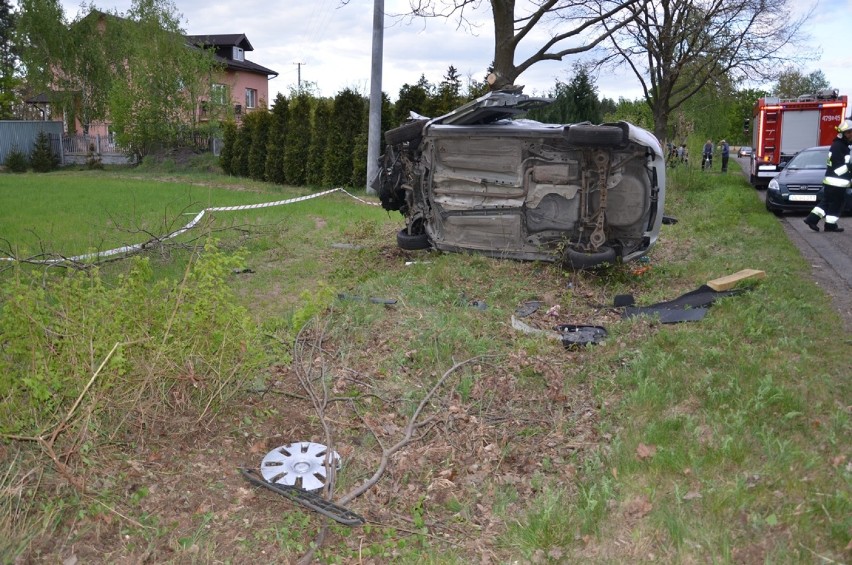 Wypadek w powiecie lipnowskim. Kierowca forda, który wylądował na drzewie, miał ponad 3 promile [zdjęcia]