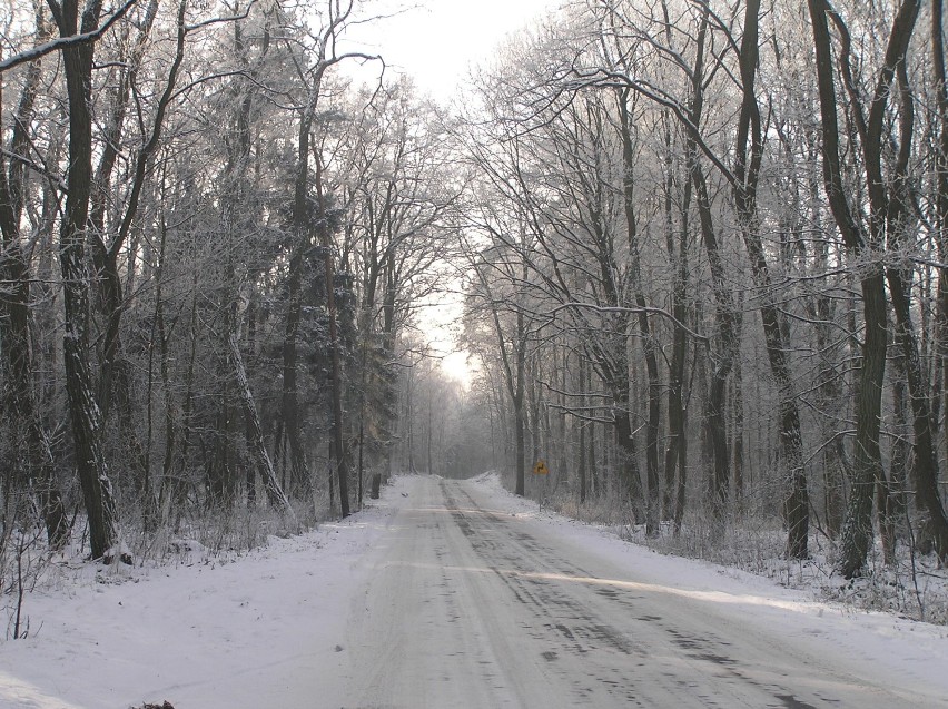 Zima na trasie Nowa Sól - Poznań  8 grudnia br.