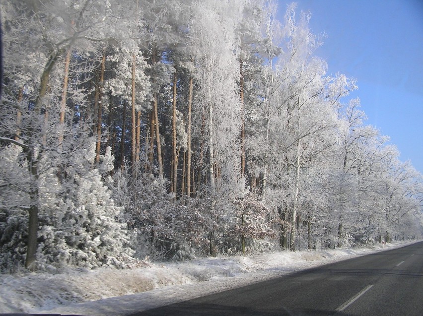 Zima na trasie Nowa Sól - Poznań  8 grudnia br.