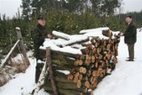 Ćwierć miliona złotych strat z kradzieży drewna w 2010 roku