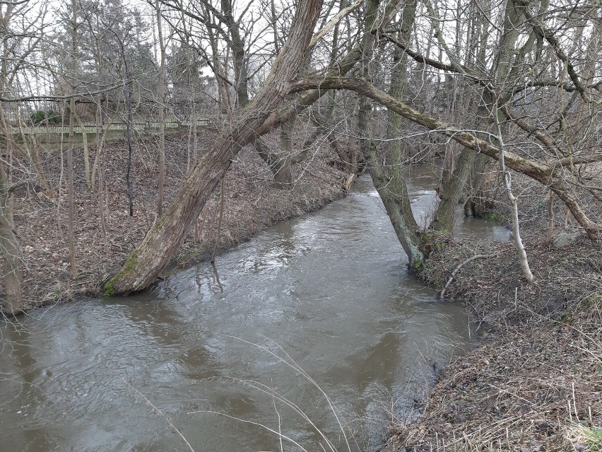 Kłodawa – rzeka płynąca przez trzy gminy