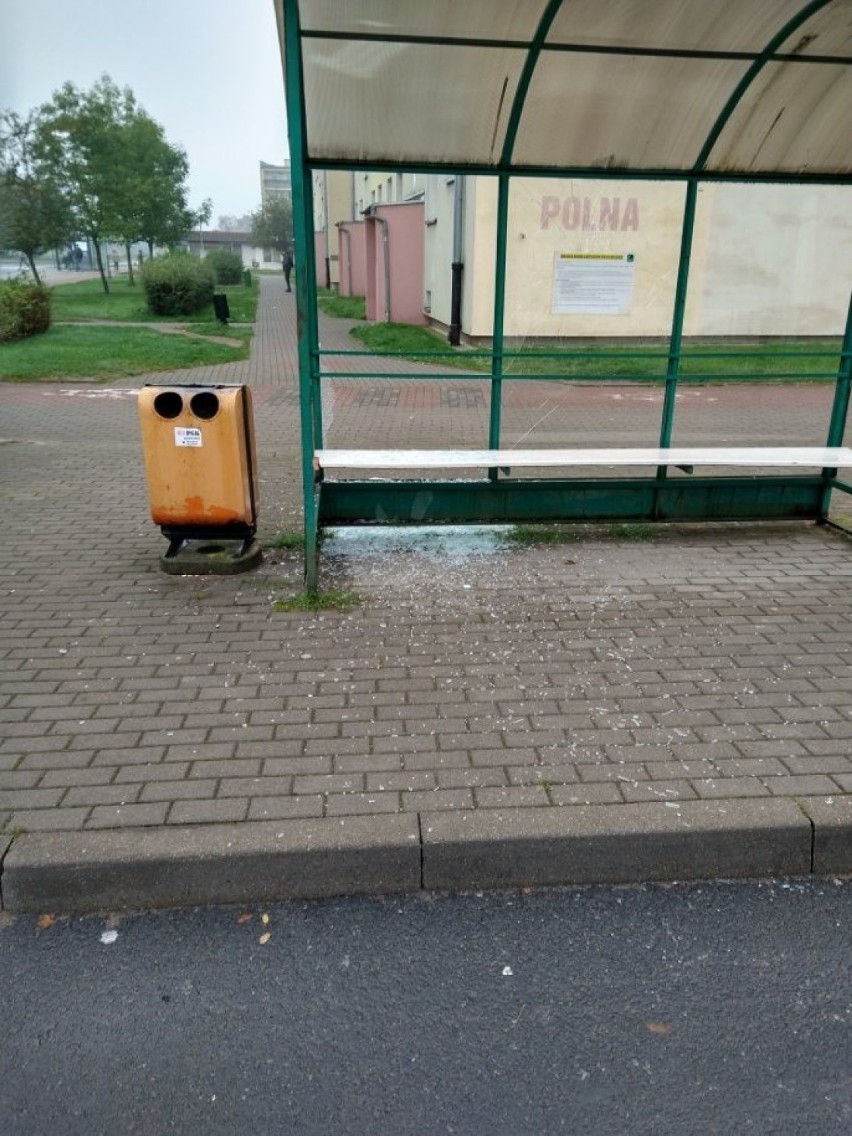 Przystanek autobusowy w Szczecinku zdemolowany przez...