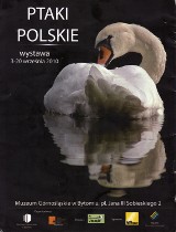 Bytom. Wystawa "Ptaki Polskie" w Muzeum Górnośląskim
