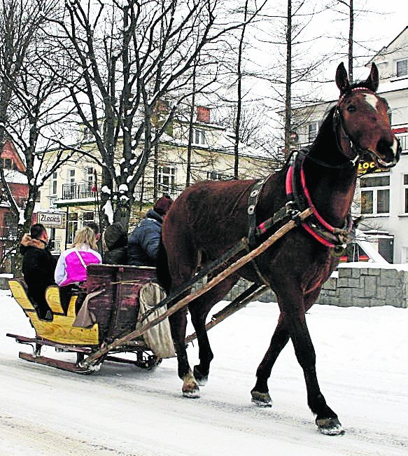 Fiakrzy narzekają, że zimą wożą turystów po ulicach Zakopanego, ale nie mają wyboru