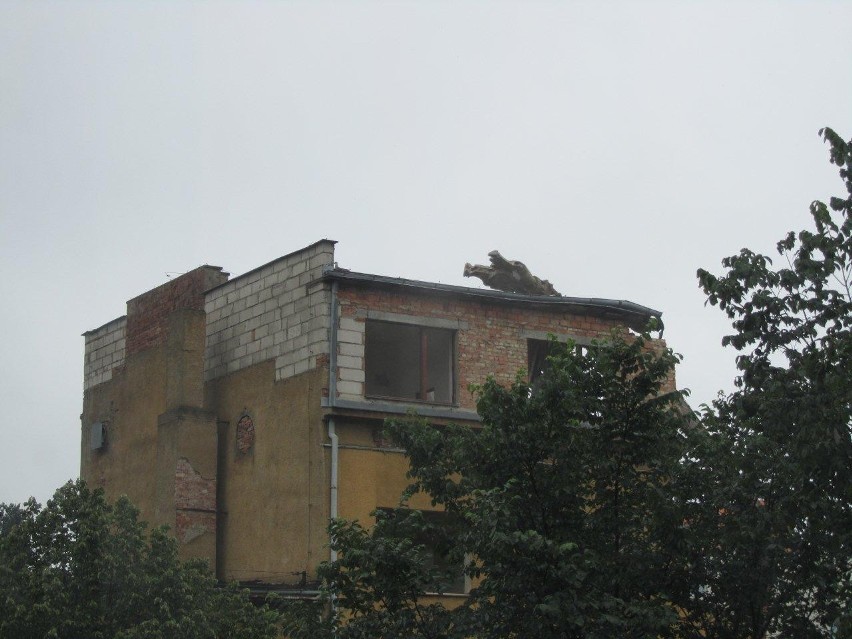 Rozbiórka budynku przy ul. św. Piotra 10 w Gdyni. Wyburzają budynek razem - co z gniazdem mew? LIST