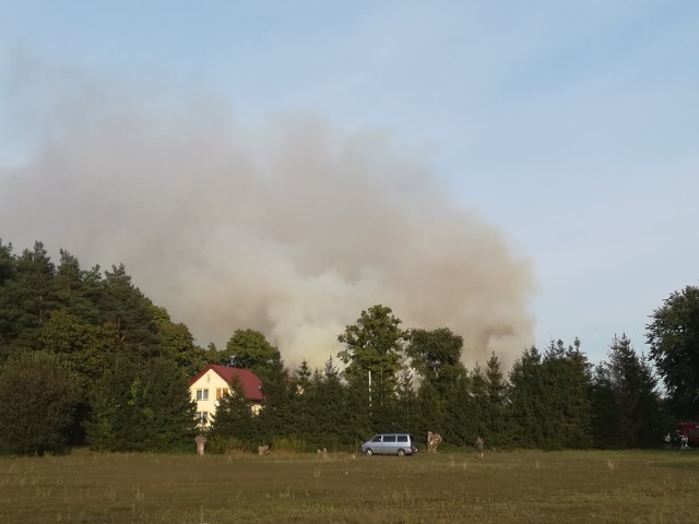 W ogniu stanął budynek przy ul. Rydygiera w Grudziądzu. Z ogniem walczą strażacy.