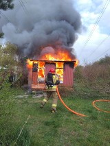 W Rybniku ktoś podpalił gołębnik? Niewielki budynek płonął jak pochodnia! Na szczęście skończyło się na stratach materialnych