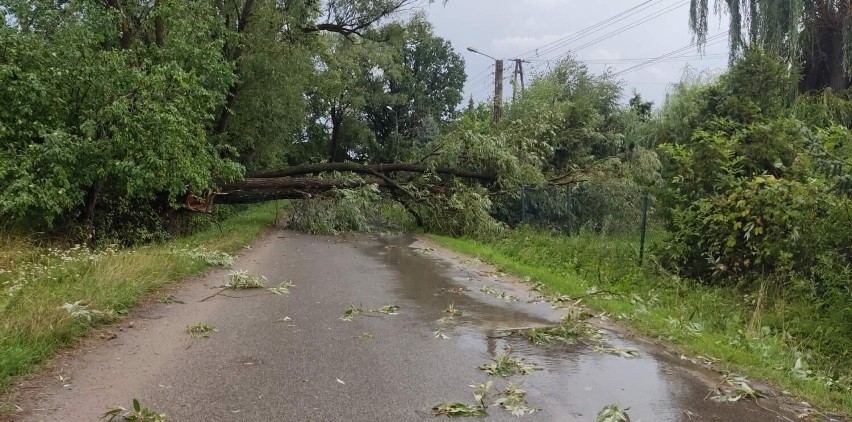 Ulewa w Wieluniu i okolicy 16.08. Straż interweniuje do połamanych drzew i zalanych ulic