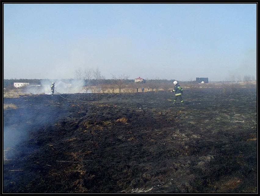 Pożary traw w powiecie zawierciańskim 2015