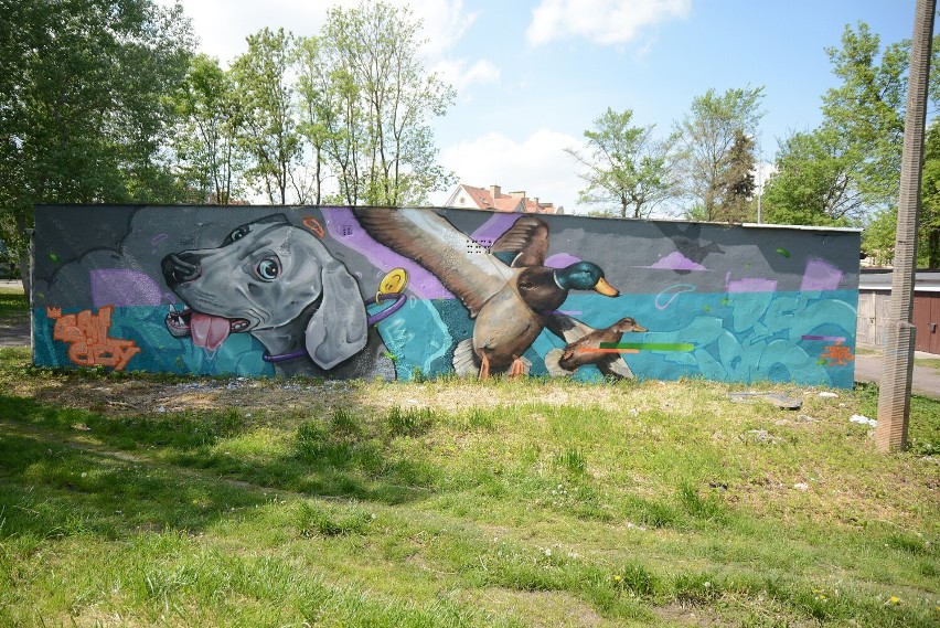 Kolejny mural w Pile. Bohaterem pies i kaczki [Zdjęcia]