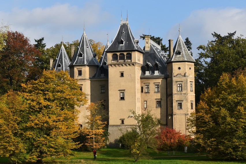 Gołuchów. Złota polska jesień w parku-arboretum [ZDJĘCIA]