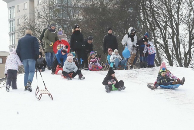 Dużo dzieci jeździło na sankach w niedzielę w parku Leśniczówka.