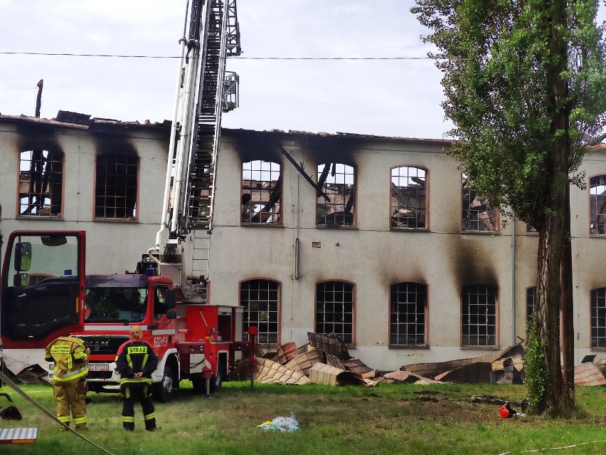 Trwa dogaszanie fabryki sklejek TeWaPol w Zgorzelcu. Policyjni technicy ustalają przyczynę pożaru