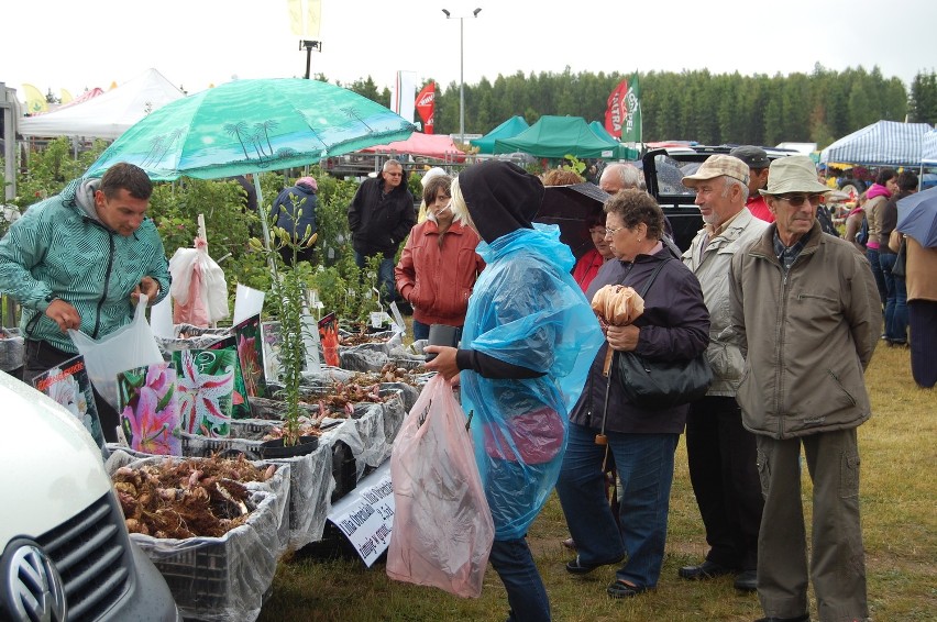 Targi rolno-przemysłowe w Lubaniu w gminie Nowa Karczma 2012 przyciągnęły mieszkańców całego Pomorza