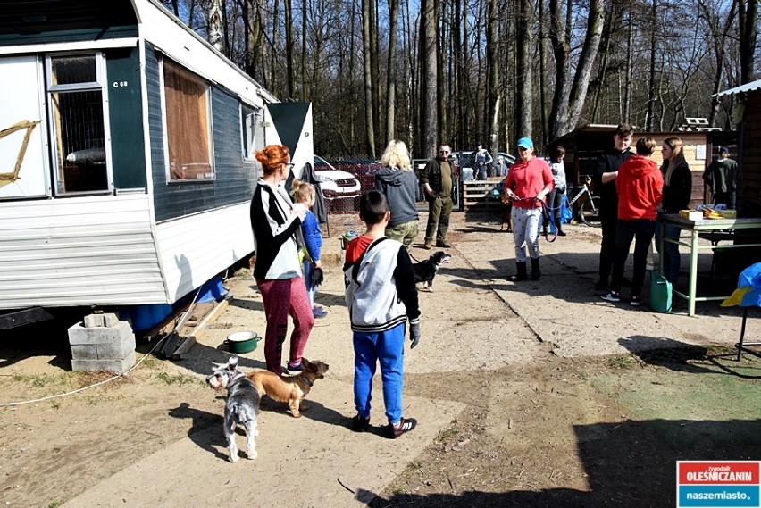 Działacze Przytul Pyska i ochotnicy sprzątali las (ZDJĘCIA) 