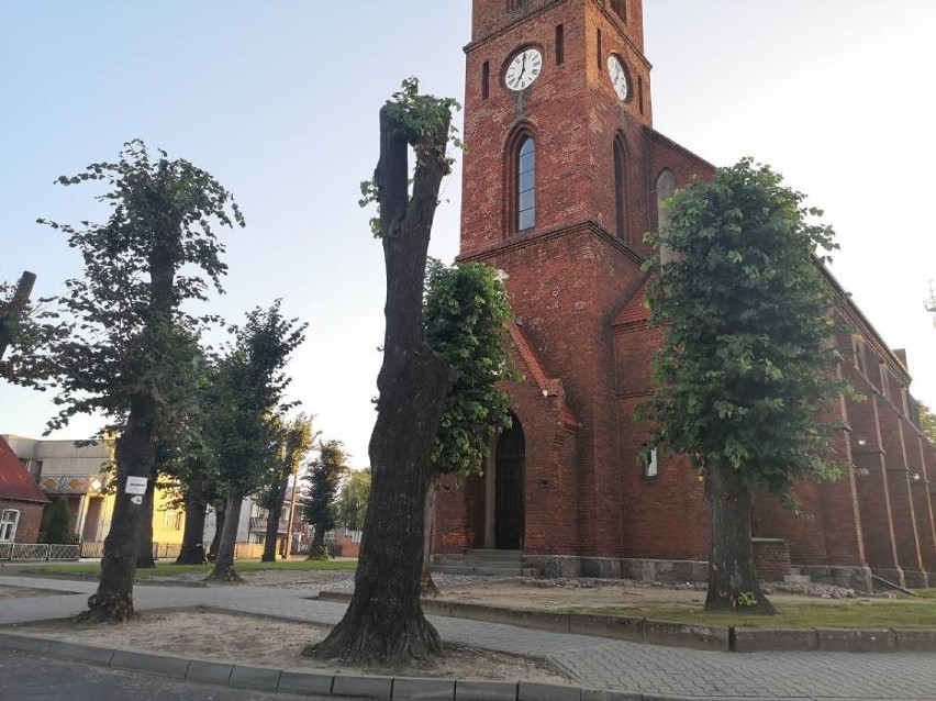 Stan obecny drzew przy kościele w Kuślinie.