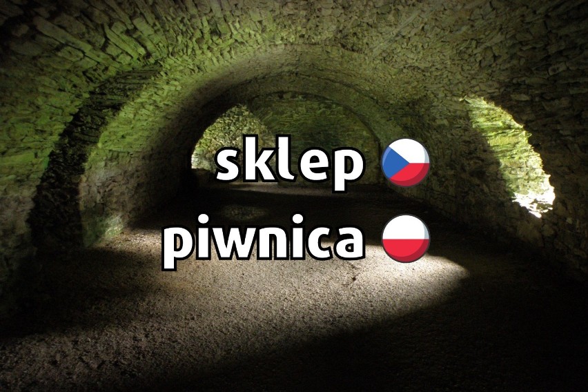 Czeskie memy robią furorę w internecie. Język czeski kopalnią memów. Dlaczego nas bawi? Nie da się go nie lubić