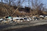 Zgłoszenie Czytelnika: śmieci w Będzinie przy ul. Nowotki